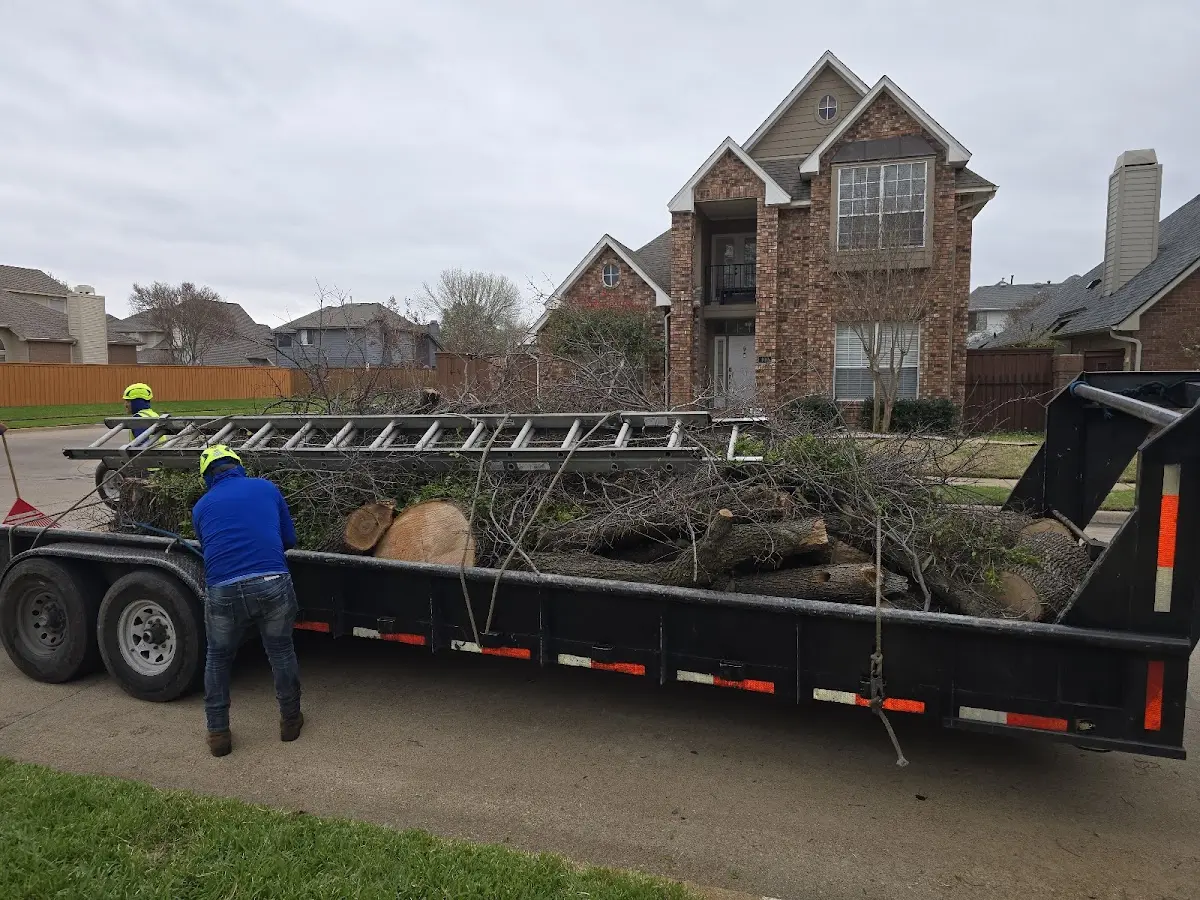 Expert Lot Clearing with proper safety equipment in Newland